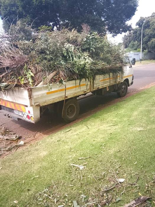 Truck loaded with cleared tree branches after felling